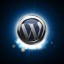 wordpress-logo-shine